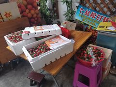 -老炳·七丛松甘草水果