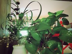 美丽心情休闲餐厅(西桥店)-美丽心情蛋糕(江苏路店)