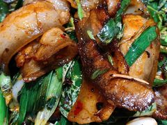 尖椒蒜苗回锅肉-人民食堂(青羊宫店)