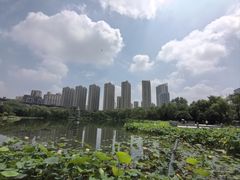 -木塔寺遗址生态公园