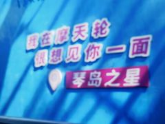 -琴岛之星摩天轮