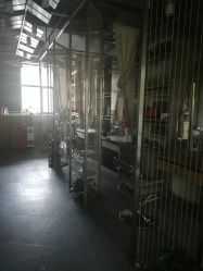 -MAGIC米几发型设计·羊毛卷