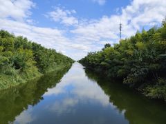 -黄海国家森林公园