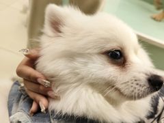 -怪兽屋·羊驼·猫咖·狗咖(俊华广场店)