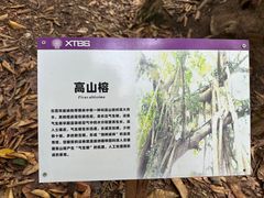-中国科学院西双版纳热带植物园