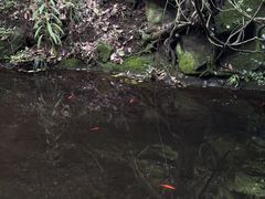 -昆明青龙峡风景区