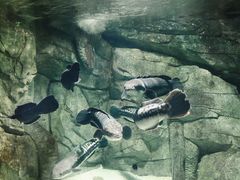 -泉城欧乐堡海洋极地世界