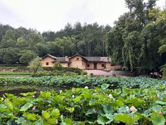 -韶山毛泽东同志故居