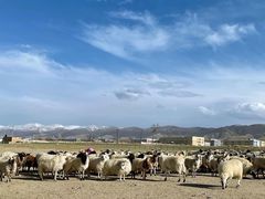 -青海湖国家重点风景名胜区