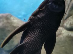 -苏州海洋馆