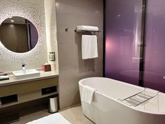 -南京禄口机场雅高铂尔曼大酒店