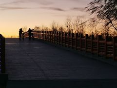 -鉴湖国家城市湿地公园