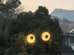 -杭州西湖风景名胜区-满觉陇四眼井