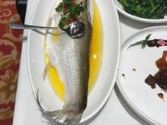 -上海1号私藏菜(黄浦店)