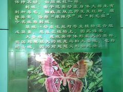 -上海昆虫博物馆