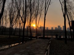 -森林公园(尖草坪区)