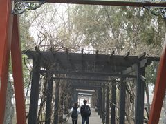 -晋祠公园