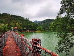 -广州白江湖森林公园