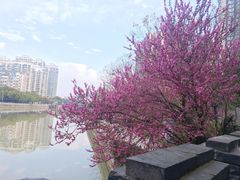 -常州明城墙