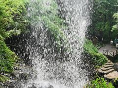 -龙苍沟森林公园