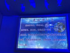 -嘉兴海底世界