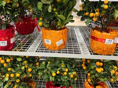 -山姆会员商店(上海浦东店)