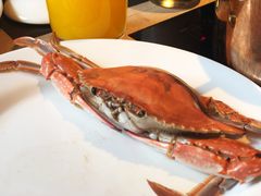 -星伦多 自助料理(圆融店)