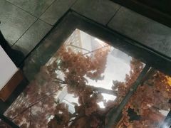 -缘福乡村铁锅炖民宿(八达岭店)