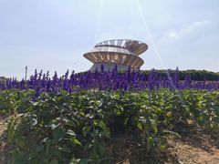 -光明小镇欢乐田园