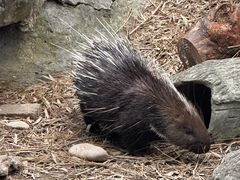 -上海动物园(地铁站)