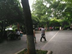 -白沙古井
