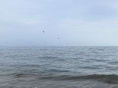 -南戴河旅游度假区