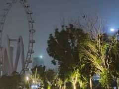 -宝安西湾红树林湿地公园