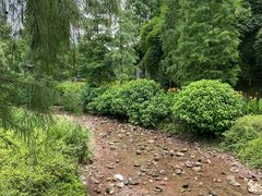 -重庆彩云湖湿地公园