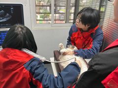 -伟伟宠物医院·CT影像中心·瑞派犬猫综合性门诊(汉口总院)