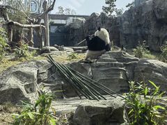 -武汉动物园