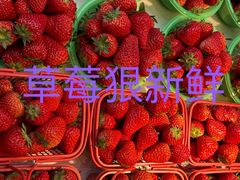 -金尚源SHANG