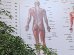 -通透堂中医·精准推拿(旗舰店)