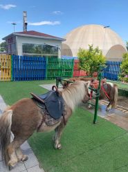 -萌宠亲子动物乐园(槐房万达店)