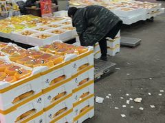 -沈阳市八家子水果批发市场