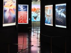 -罗红摄影艺术馆