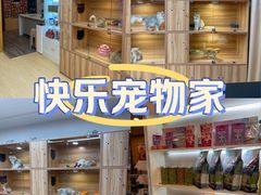 -猫十亿·布偶金渐层·曼基康矮脚猫舍(青年路店)