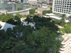 -新加坡丽思卡尔顿美年酒店