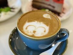 -飞行喵MR PILOT|猫舍·猫咖(静安大融城店)