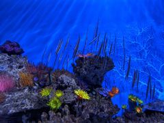 -成都浩海立方海洋公园