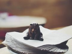 -VOYAGE COFFEE(北锣鼓巷店)