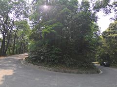 -广州市帽峰山景区