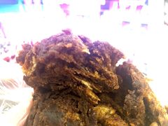 -老回回饺子馆(海洋馆店)