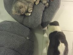 -娜娜家•Nana’Garden (福州道店)