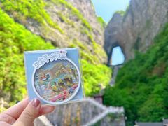 -张家界天门山国家森林公园